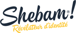 SHEBAM !